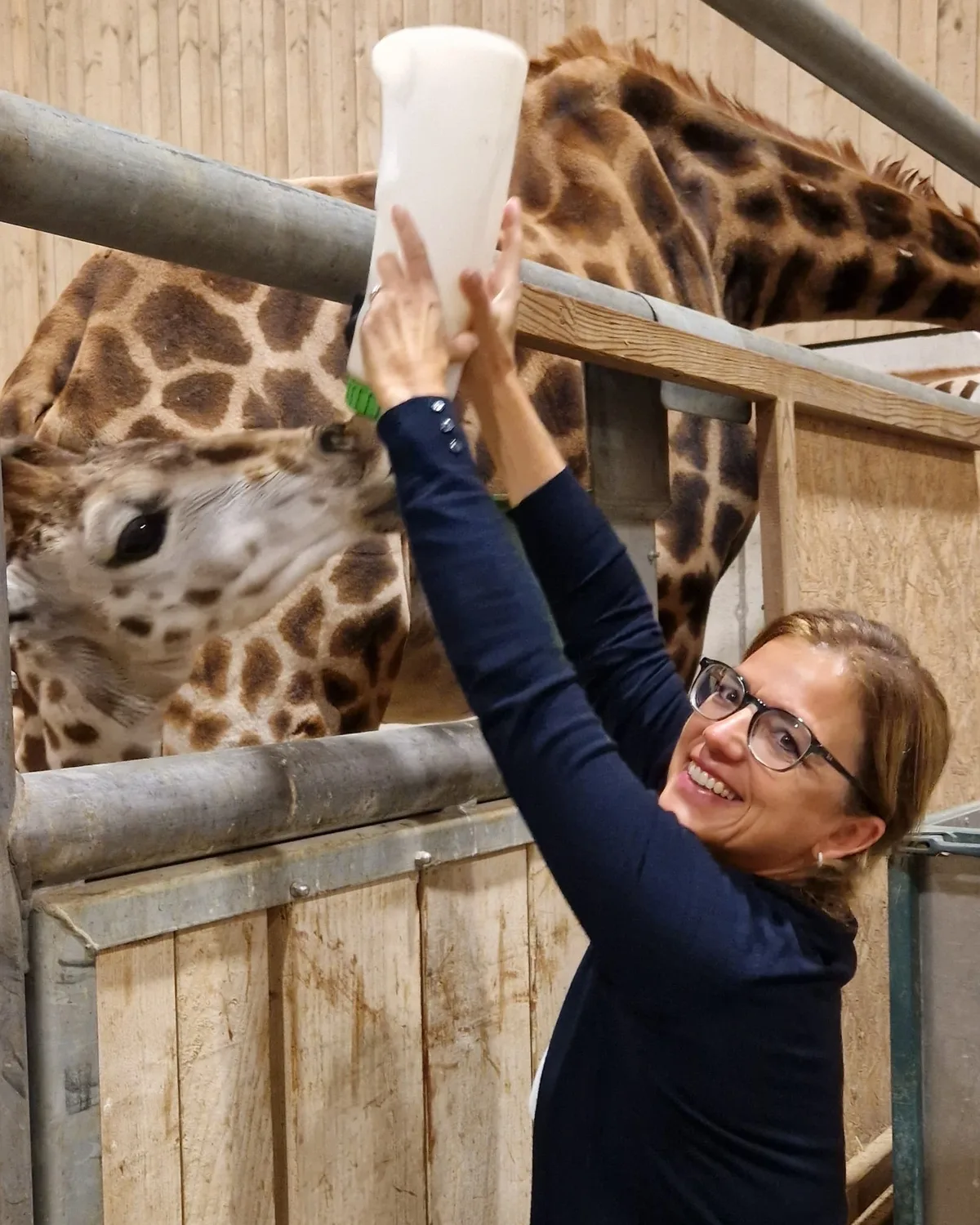 Sibylle Marti mit Giraffen im Kinderzoo